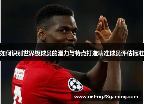 如何识别世界级球员的潜力与特点打造精准球员评估标准