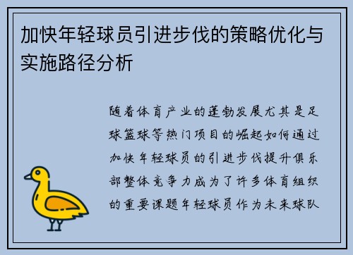 加快年轻球员引进步伐的策略优化与实施路径分析