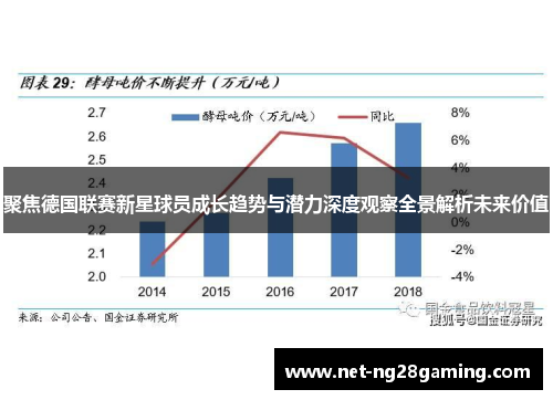 聚焦德国联赛新星球员成长趋势与潜力深度观察全景解析未来价值