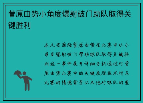菅原由势小角度爆射破门助队取得关键胜利
