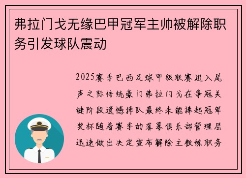 弗拉门戈无缘巴甲冠军主帅被解除职务引发球队震动