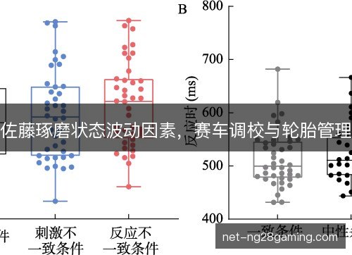 佐藤琢磨状态波动因素，赛车调校与轮胎管理